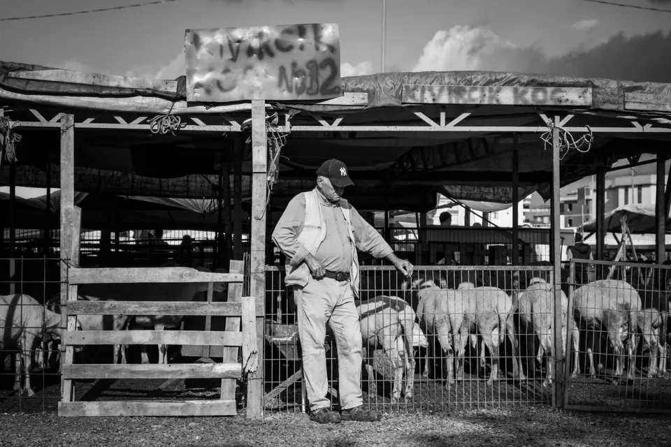 About Horizon City, Texas: Your Local Service Area — Horizon City, TX